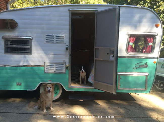 2 cats & chloe: Seafoam re-issued 1961 2015 shasta