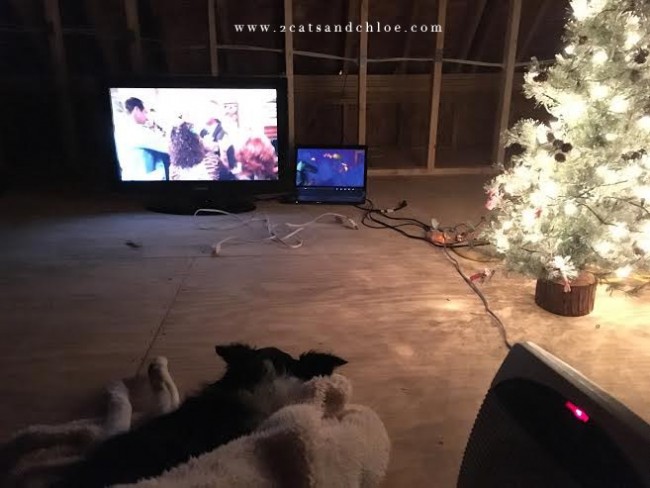 Christmas Vacation 1