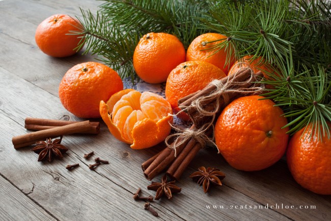 2 cats & chloe: Christmas Oranges