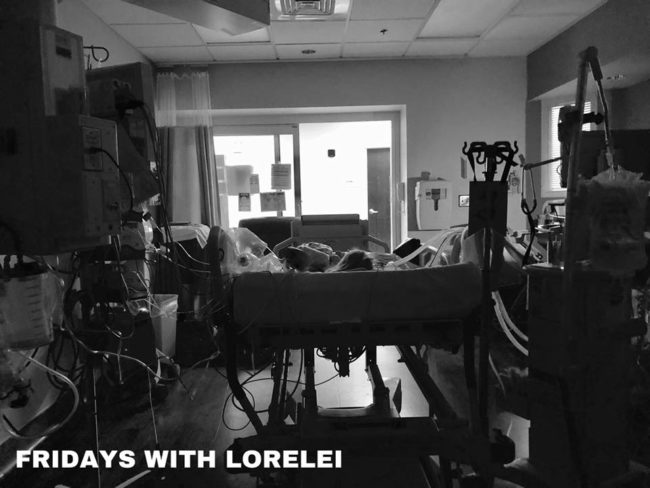 2 cats & chloe: Mitochondrial FBXL4 Disease