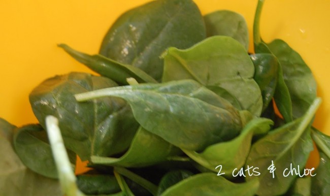 paleo quiche