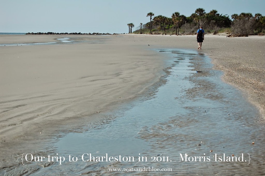 Morris Island - Summer of Go! Morris Island, Charleston - Summer of Go!