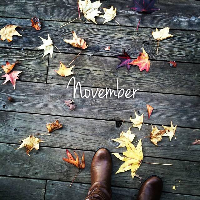 2 cats & chleo: November Boots and Fallen Leaves