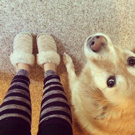 Puppies and Legwarmers!