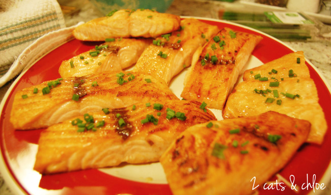 2 cats & chloe: maple glazed salmon