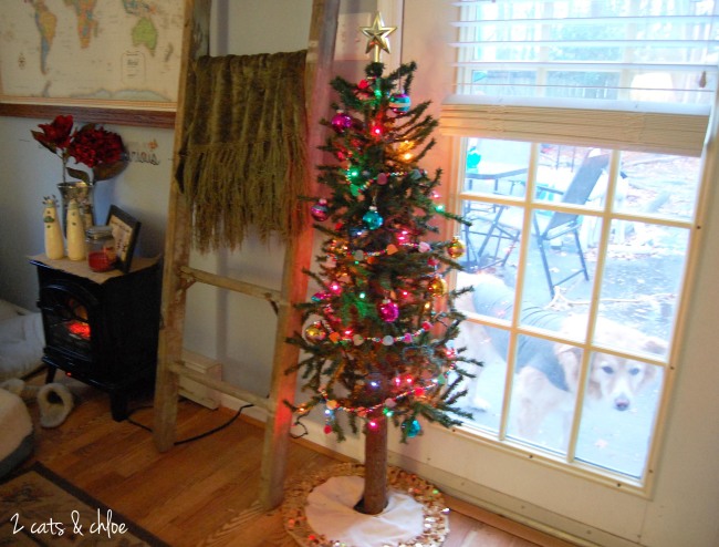 2 cats & chloe: Charlie Brown Christmas Tree