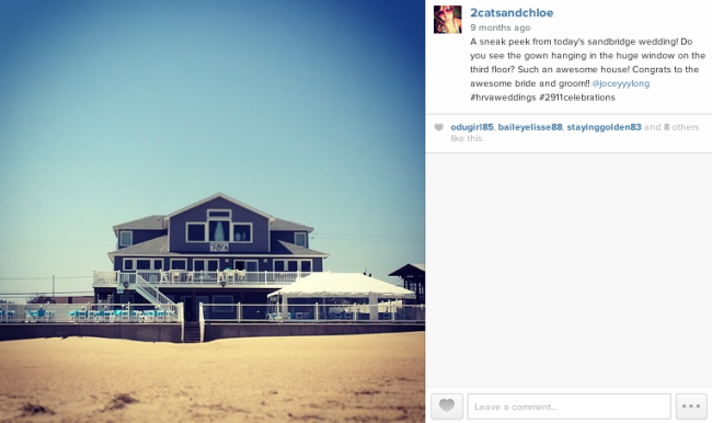 2 cats & chloe: virginia beach weddings, 29:11 Celebrations