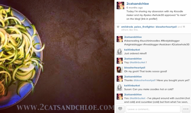 2 cats & chloe: zoodles