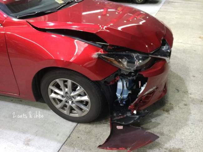 Car Collides with Deer