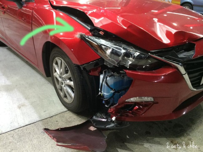 Deer Accident Damage