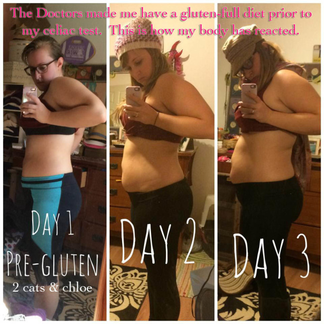 2 cats & chloe: What gluten does to your body