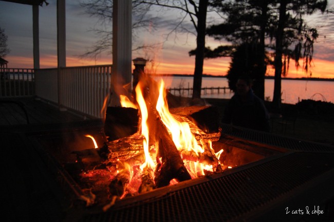 2 cats & chloe: NYE firepit