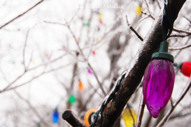 2 cats & chloe: purple bulb in ice, large christmas lights, charlie brown tree