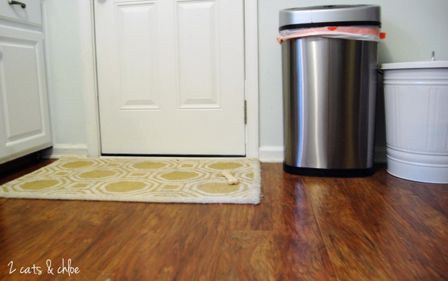 2 cats & chloe: New Laminate Floors