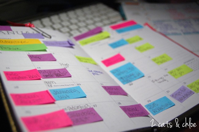 2 cats & chloe: Editorial Calendar for Life and Blog