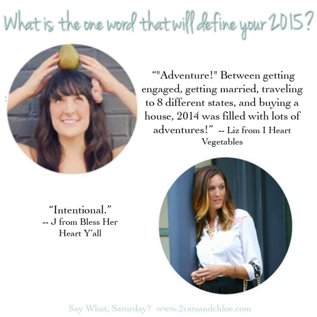 2 cats & chloe: blogger mission, word of the year
