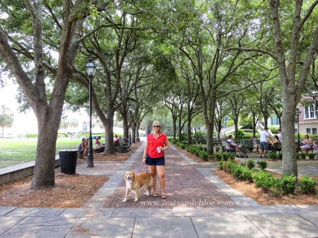 Charleston SC // Travel with a dog