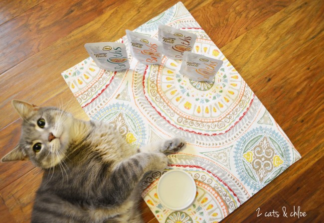 2 cats & chloe: WOW your cat with Fancy Feast Chicken Broths!
