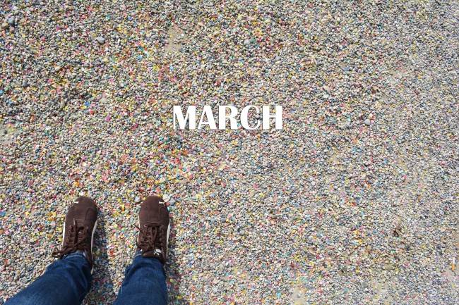 2 cats & chloe: confetti and march overview