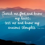 2 cats & chloe: Psalm 139:23, Sunday Morning Scripture