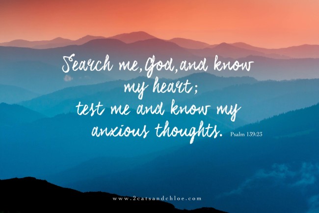 2 cats & chloe: Psalm 139:23, Sunday Morning Scripture