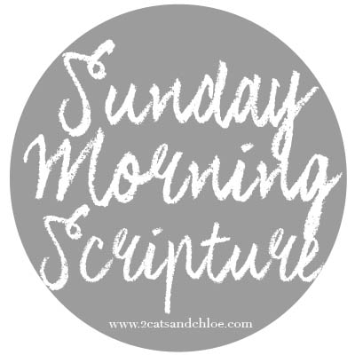 2 cats & chloe: Sunday Morning Scripture Logo