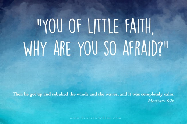 2 cats & chloe: Matthew 8:26 // You of little faith, why are you so afraid