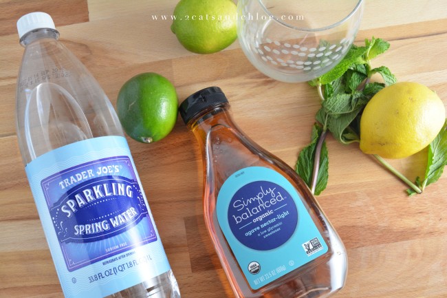 2 cats & chloe: paleo mocktail ingredients