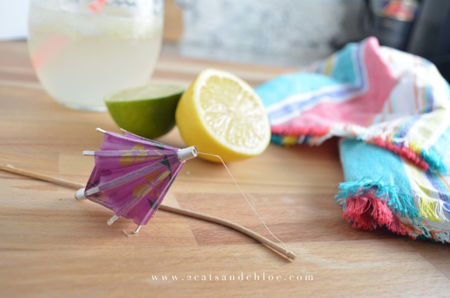 Paleo mocktail spritzer margarita