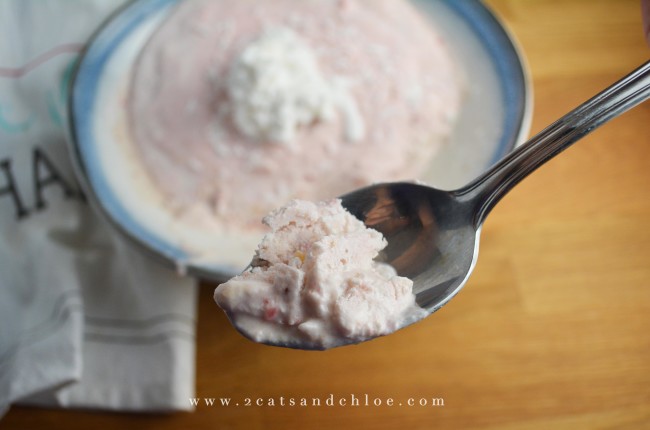 2 cats & chloe: Paleo Coconut Cream Ice Cream