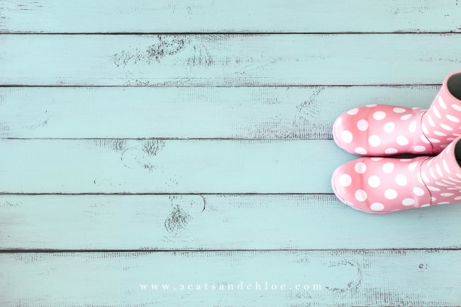 2 cats & chloe: Pink Polka Dot Rain boots