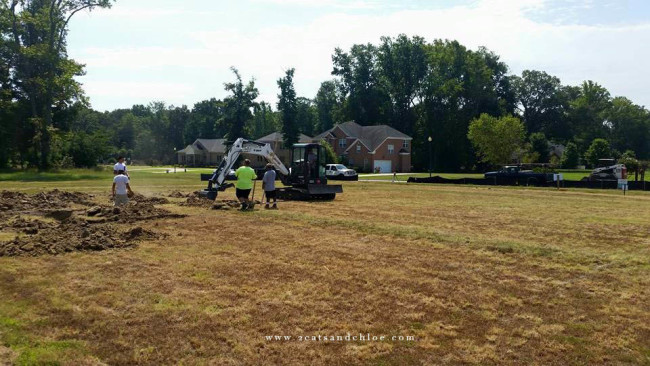 2 cats & chloe: Digging Footings for new construction