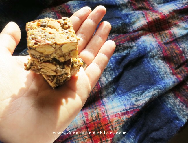 2 cats & chloe: Gluten Free Snacks to go!