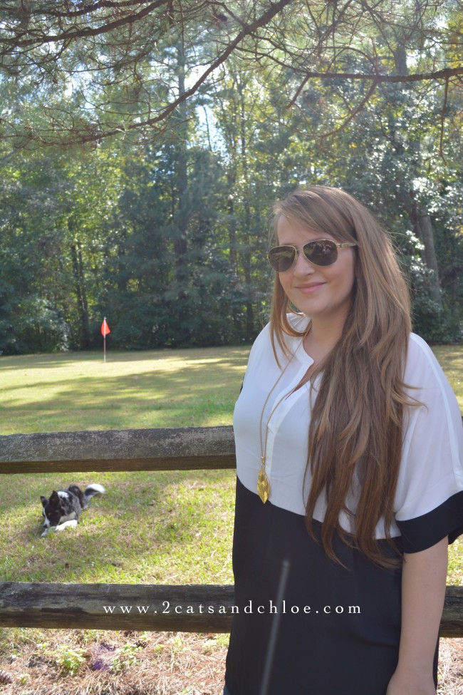 2 cats & chloe: irresistible me hair extentions review