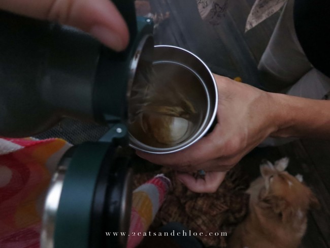 2 cats & chloe: Hot Cider by the fire