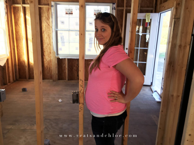 2 cats & chloe: 19 week baby bump