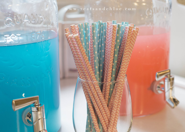 2 cats & chloe: Gender Reveal Pink and Blue Punches