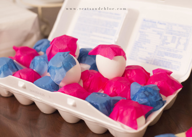 2 cats & chloe: Gender Reveal Paint filled Eggs