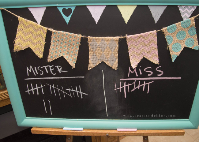 2 cats & chloe: Gender Reveal Party Votes
