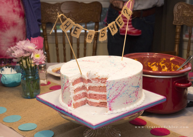 2 cats & chloe: Gluten Free Gender Reveal Cake with Pink Inside