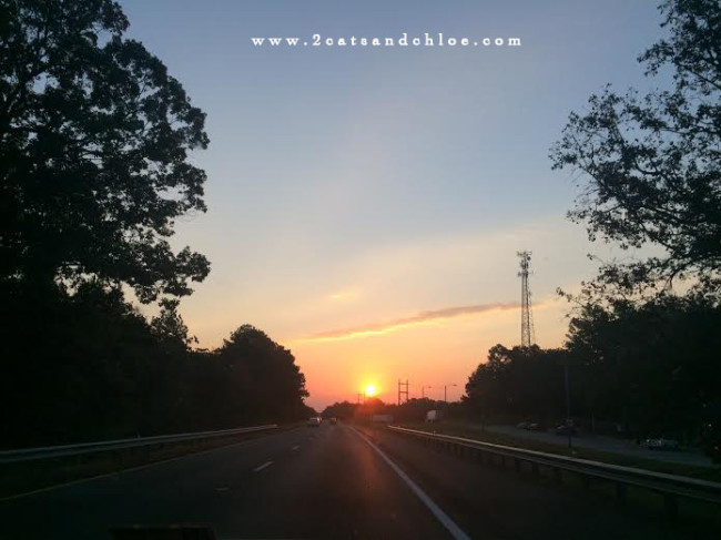 2 cats & chloe: Virginia Fall Sunrise
