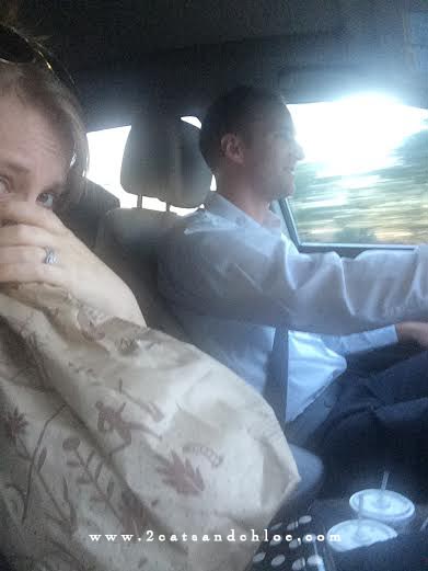 2 cats & chloe: Pregnant road trip through Virginia