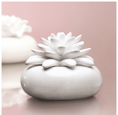 Stocking Stuffer: Chando Diffuser 