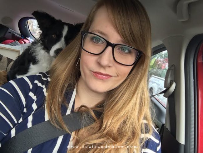 2 cats & chloe: firmoo review
