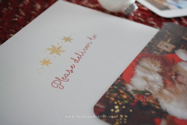 christmas-card-2016-2