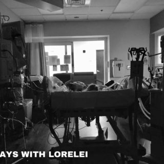 2 cats & chloe: Mitochondrial FBXL4 Disease